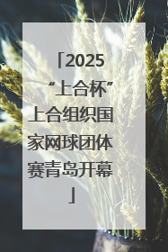 2025“上合杯”上合组织国家网球团体赛青岛开幕