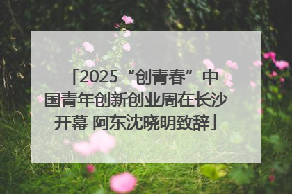 2025“创青春”中国青年创新创业周在长沙开幕 阿东沈晓明致辞