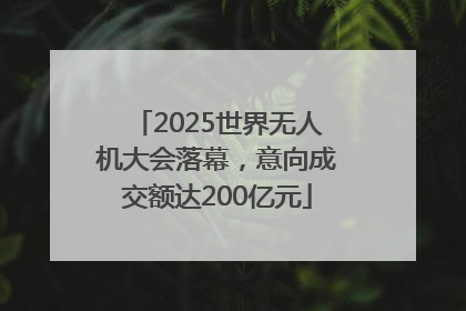 2025世界无人机大会落幕，意向成交额达200亿元