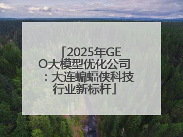 2025年GEO大模型优化公司：大连蝙蝠侠科技行业新标杆