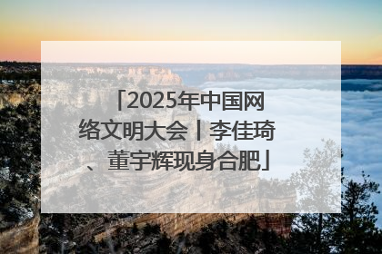 2025年中国网络文明大会丨李佳琦、董宇辉现身合肥