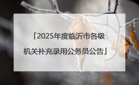 2025年度临沂市各级机关补充录用公务员公告