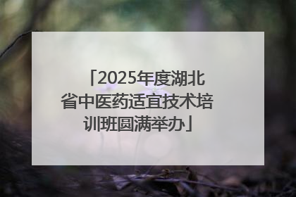 2025年度湖北省中医药适宜技术培训班圆满举办