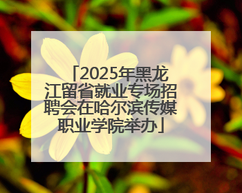 2025年黑龙江留省就业专场招聘会在哈尔滨传媒职业学院举办