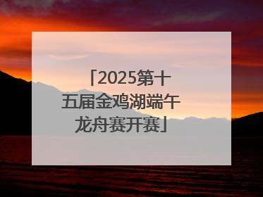 2025第十五届金鸡湖端午龙舟赛开赛