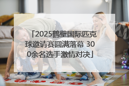 2025鹤壁国际匹克球邀请赛圆满落幕 300余名选手激情对决