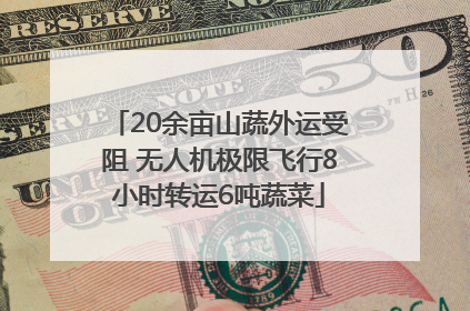 20余亩山蔬外运受阻 无人机极限飞行8小时转运6吨蔬菜