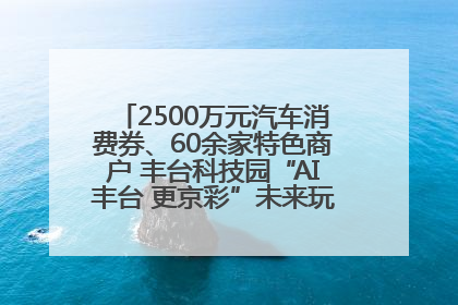 2500万元汽车消费券、60余家特色商户 丰台科技园“AI丰台 更京彩”未来玩家市集活动正式开幕
