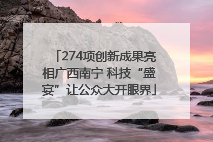 274项创新成果亮相广西南宁 科技“盛宴”让公众大开眼界