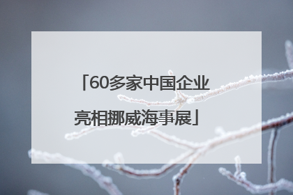 60多家中国企业亮相挪威海事展
