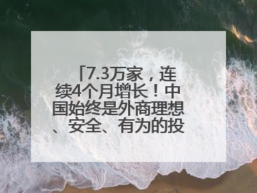 7.3万家，连续4个月增长！中国始终是外商理想、安全、有为的投资目的地