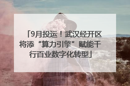 9月投运！武汉经开区将添“算力引擎”赋能千行百业数字化转型