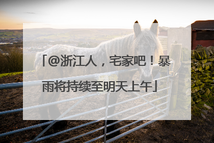 @浙江人，宅家吧！暴雨将持续至明天上午