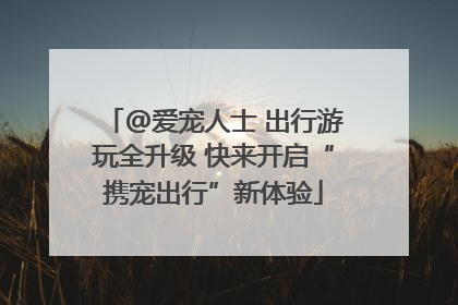 @爱宠人士 出行游玩全升级 快来开启“携宠出行”新体验