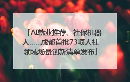 AI就业推荐、社保机器人……成都首批73项人社领域场景创新清单发布