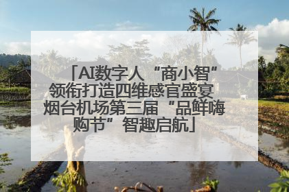 AI数字人“商小智”领衔打造四维感官盛宴 烟台机场第三届“品鲜嗨购节”智趣启航