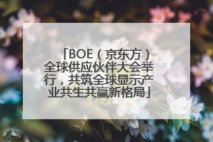 BOE（京东方）全球供应伙伴大会举行，共筑全球显示产业共生共赢新格局
