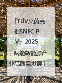TÜV莱茵亮相SNEC PV+ 2025，赋能新能源产业高质量发展